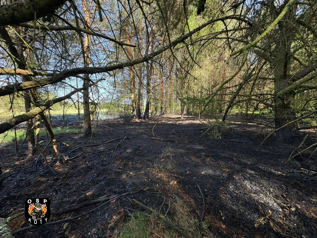 Pożar, do akcji skierowano śmigłowiec