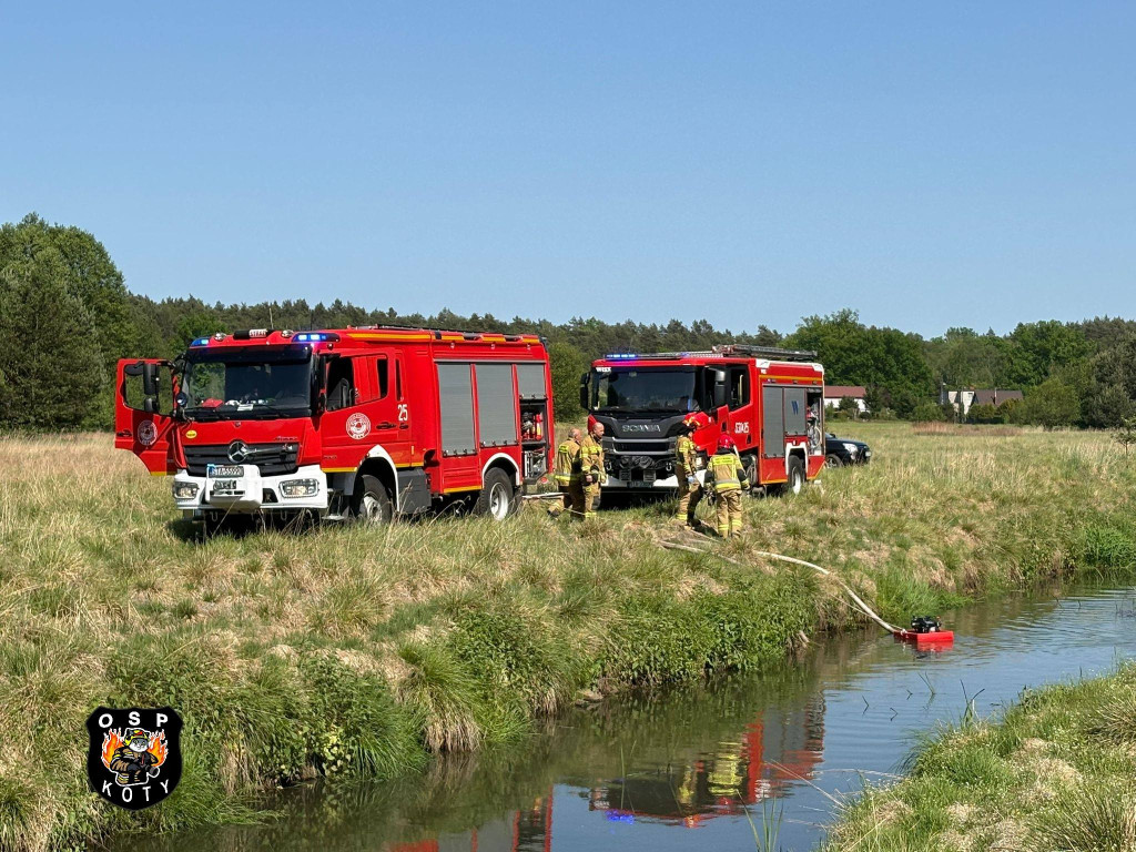 Pożar, do akcji skierowano śmigłowiec