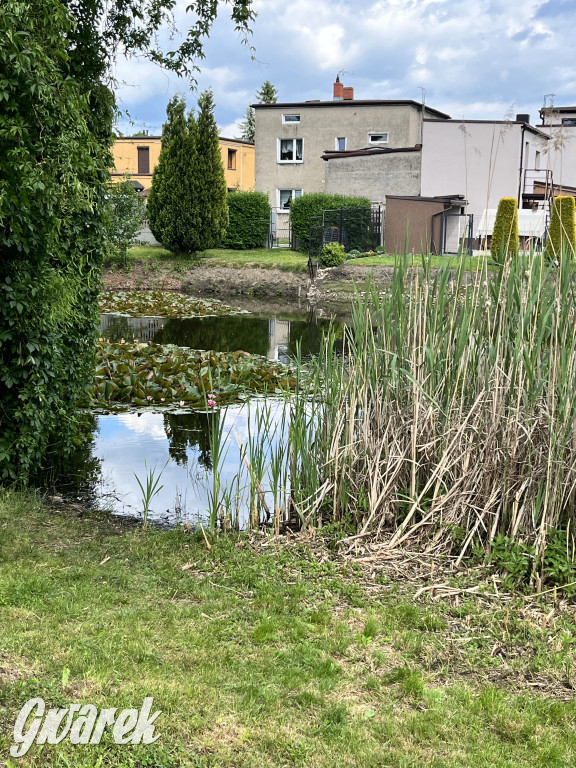 Majówka na Hercoku