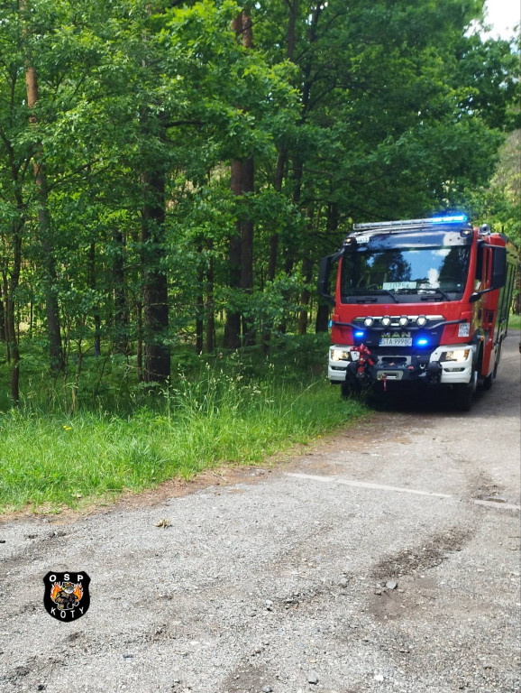 Dwa auta w rowie. Zderzenie na DK11 w Kotach