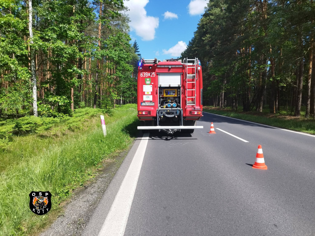 Dwa auta w rowie. Zderzenie na DK11 w Kotach
