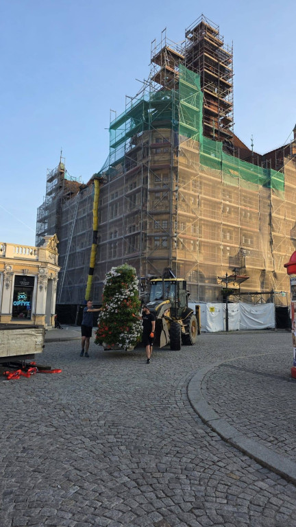 Tarnowskie Góry. Rynek i kwiaty w barwach miasta