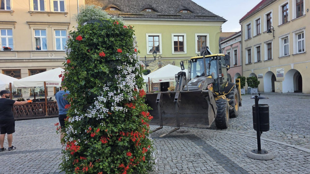 Tarnowskie Góry. Rynek i kwiaty w barwach miasta