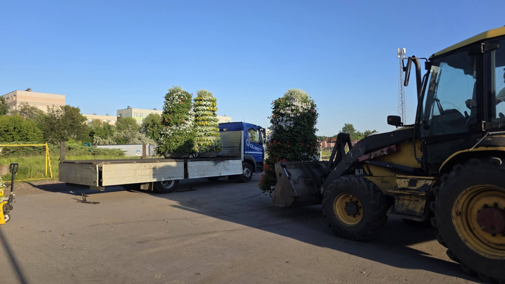 Tarnowskie Góry. Rynek i kwiaty w barwach miasta