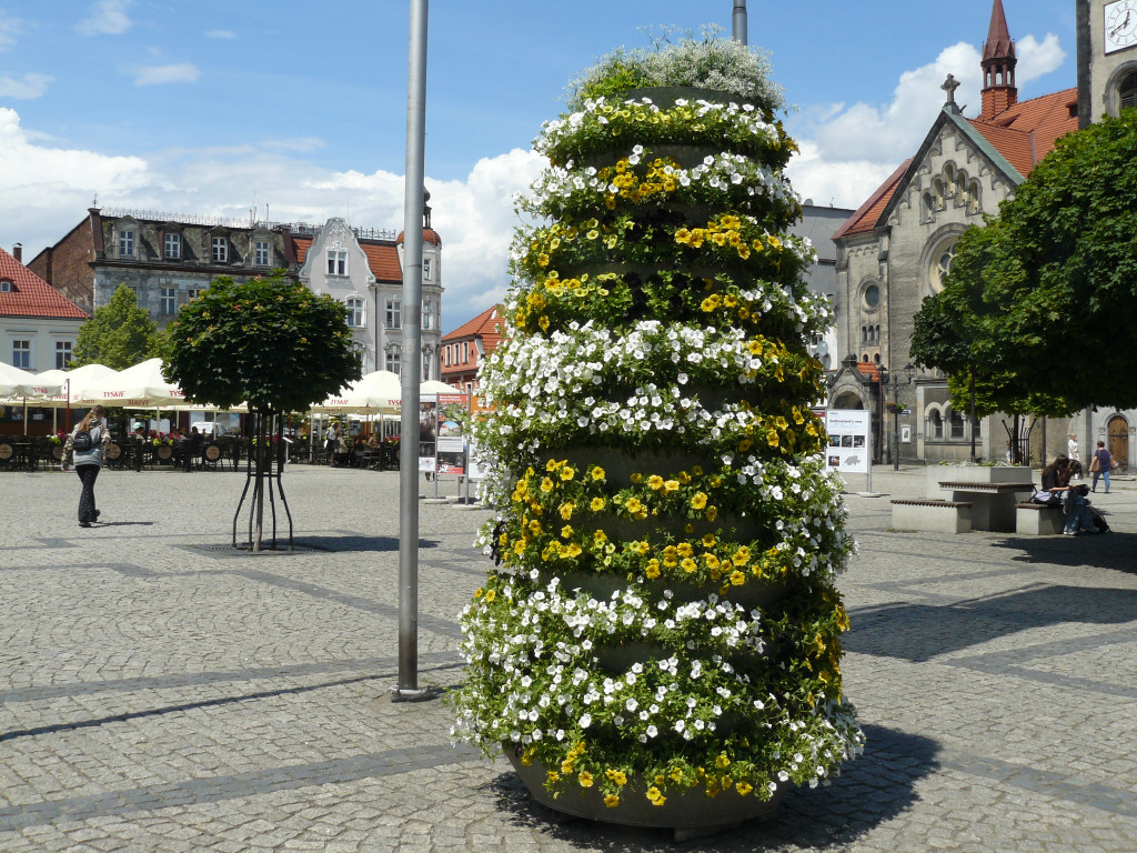 Tarnowskie Góry. Rynek i kwiaty w barwach miasta