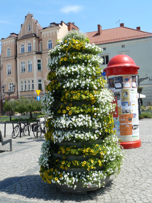 Tarnowskie Góry. Rynek i kwiaty w barwach miasta