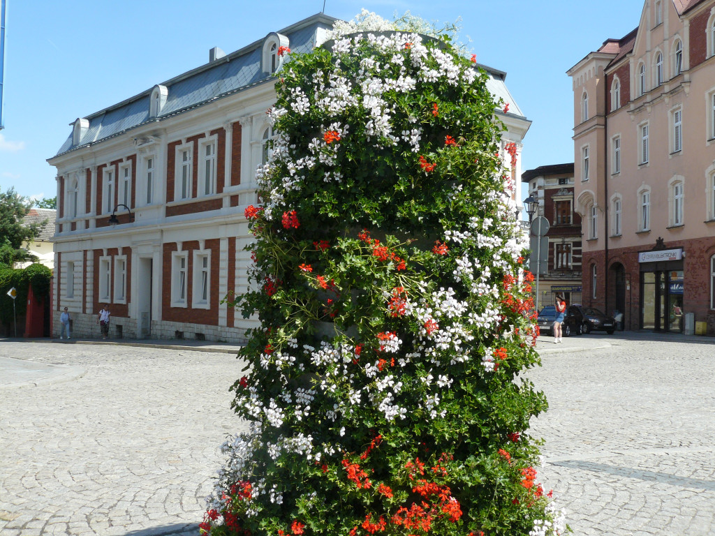 Tarnowskie Góry. Rynek i kwiaty w barwach miasta