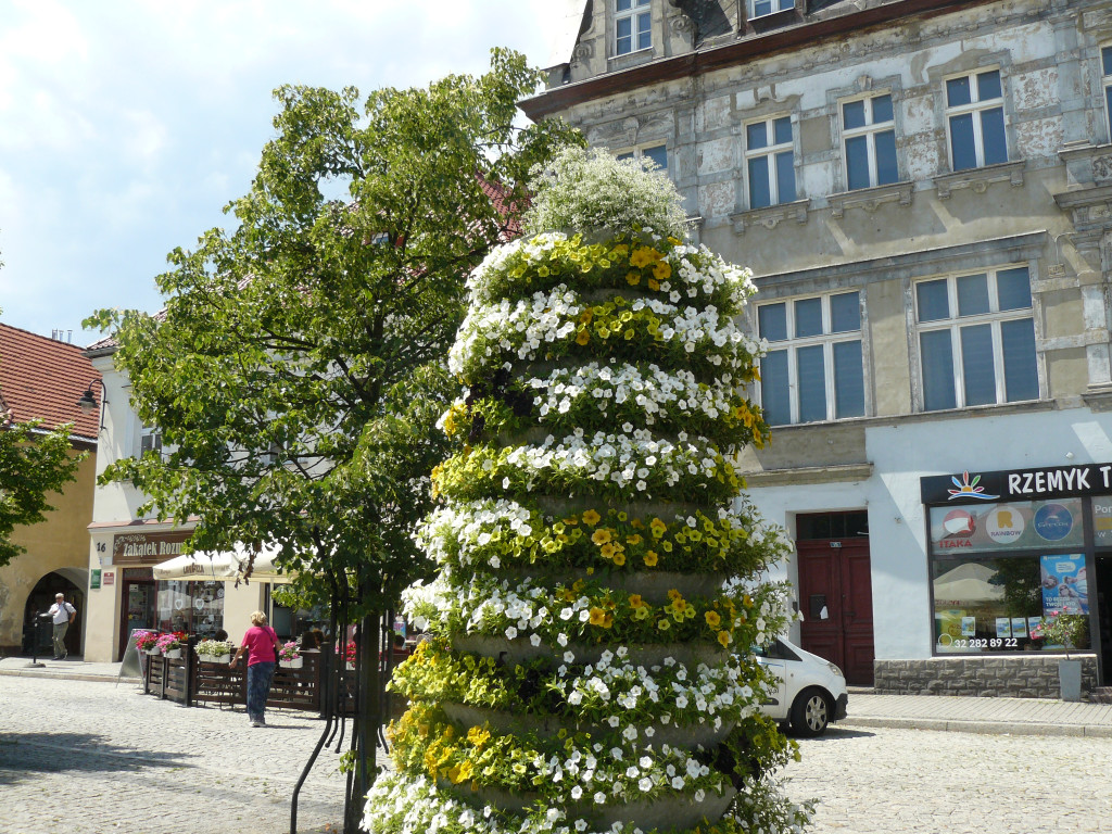 Tarnowskie Góry. Rynek i kwiaty w barwach miasta