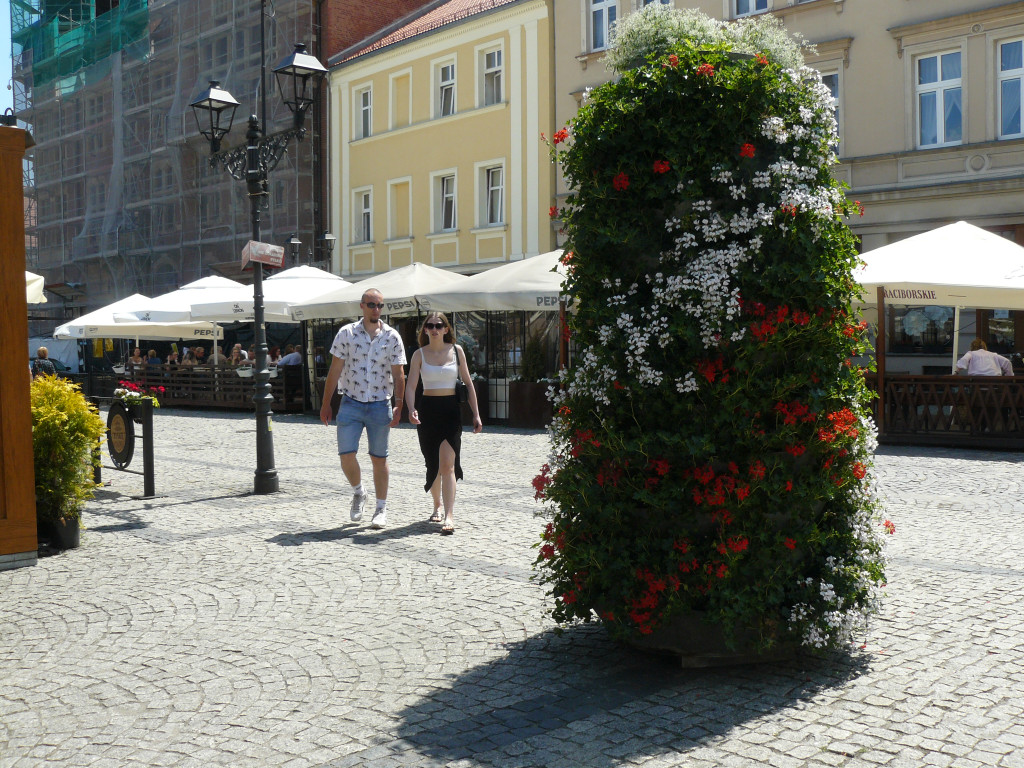 Tarnowskie Góry. Rynek i kwiaty w barwach miasta