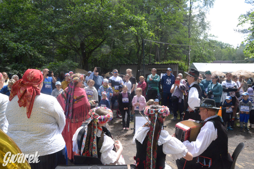 Strzybnica. Rekordowy Bartusiowy Bieg Nordicusa