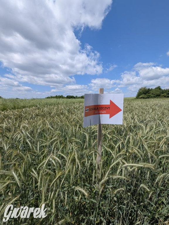 Radzionków. Odsłonięto tablicę z wizerunkiem ks. Korpaka