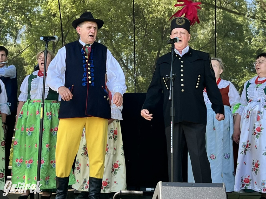 Ta Brynica piykno wieś! Muzyka, śląskie stroje i placki z zilberbronzą