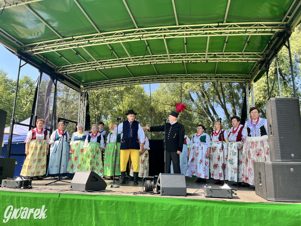 Ta Brynica piykno wieś! Muzyka, śląskie stroje i placki z zilberbronzą