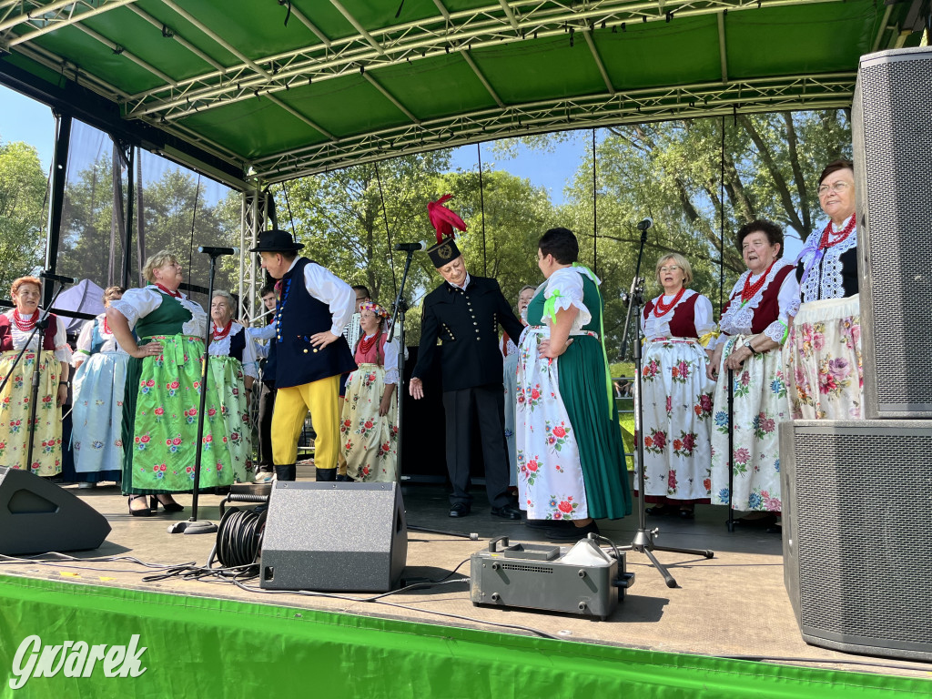 Ta Brynica piykno wieś! Muzyka, śląskie stroje i placki z zilberbronzą