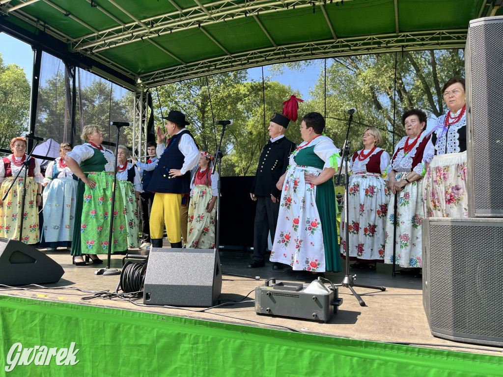 Ta Brynica piykno wieś! Muzyka, śląskie stroje i placki z zilberbronzą