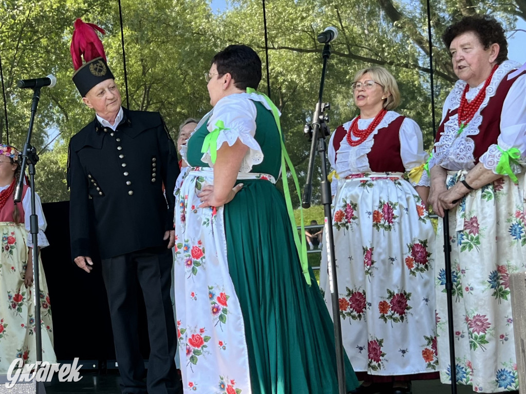 Ta Brynica piykno wieś! Muzyka, śląskie stroje i placki z zilberbronzą