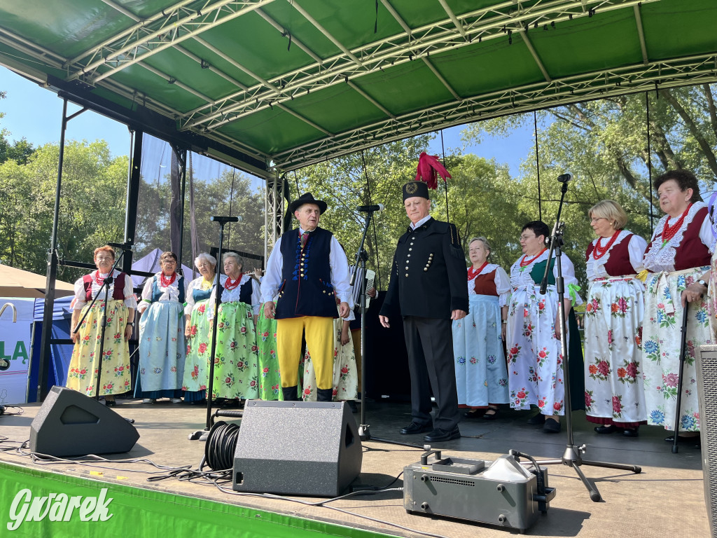 Ta Brynica piykno wieś! Muzyka, śląskie stroje i placki z zilberbronzą