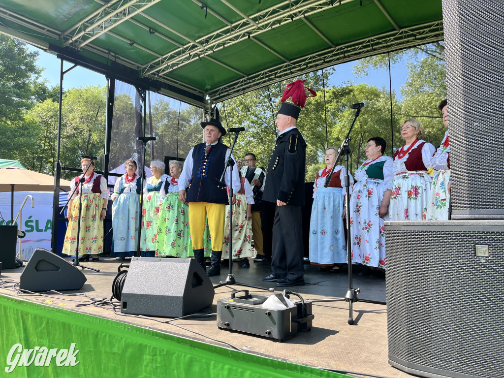 Ta Brynica piykno wieś! Muzyka, śląskie stroje i placki z zilberbronzą