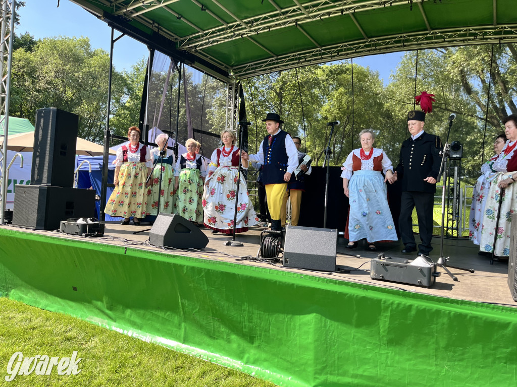 Ta Brynica piykno wieś! Muzyka, śląskie stroje i placki z zilberbronzą
