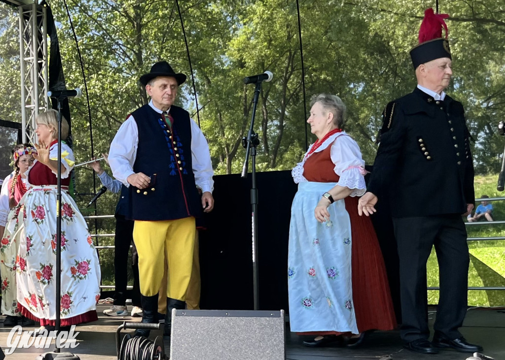 Ta Brynica piykno wieś! Muzyka, śląskie stroje i placki z zilberbronzą