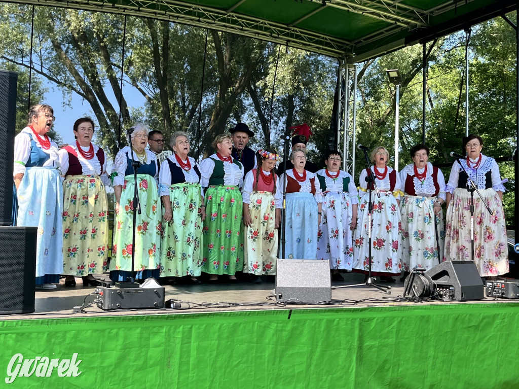 Ta Brynica piykno wieś! Muzyka, śląskie stroje i placki z zilberbronzą