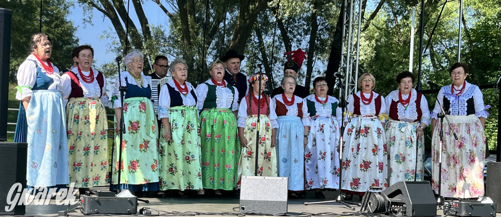 Ta Brynica piykno wieś! Muzyka, śląskie stroje i placki z zilberbronzą