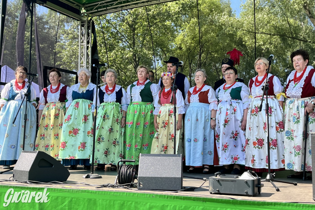 Ta Brynica piykno wieś! Muzyka, śląskie stroje i placki z zilberbronzą