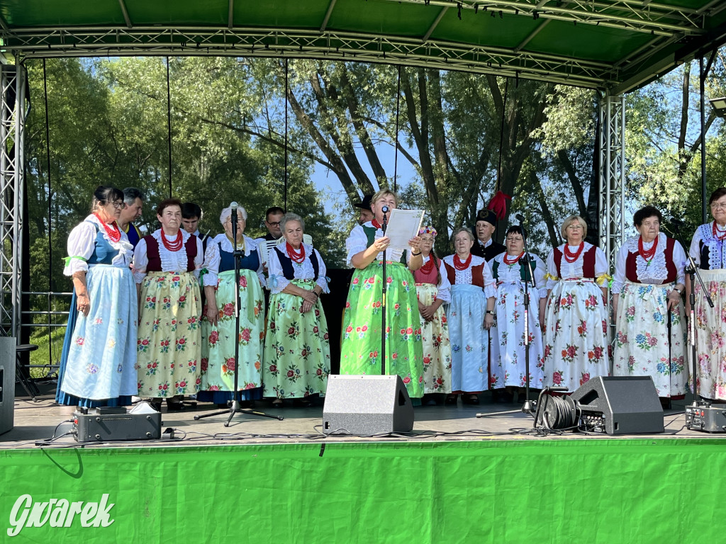 Ta Brynica piykno wieś! Muzyka, śląskie stroje i placki z zilberbronzą