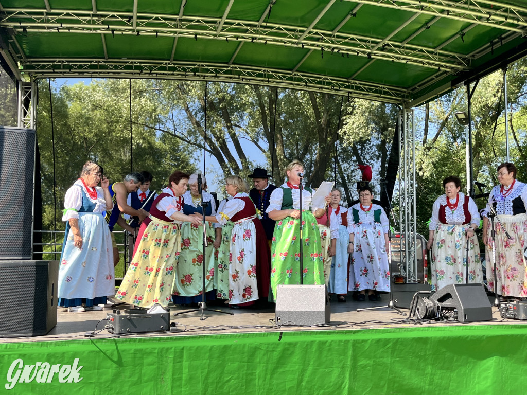 Ta Brynica piykno wieś! Muzyka, śląskie stroje i placki z zilberbronzą