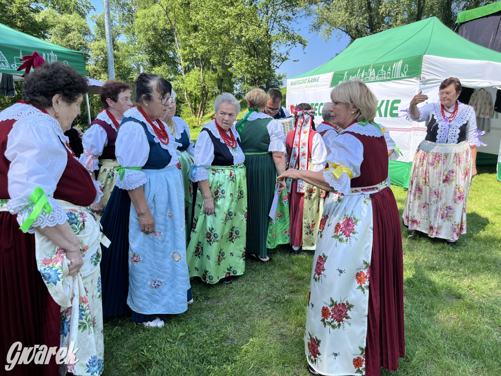 Ta Brynica piykno wieś! Muzyka, śląskie stroje i placki z zilberbronzą