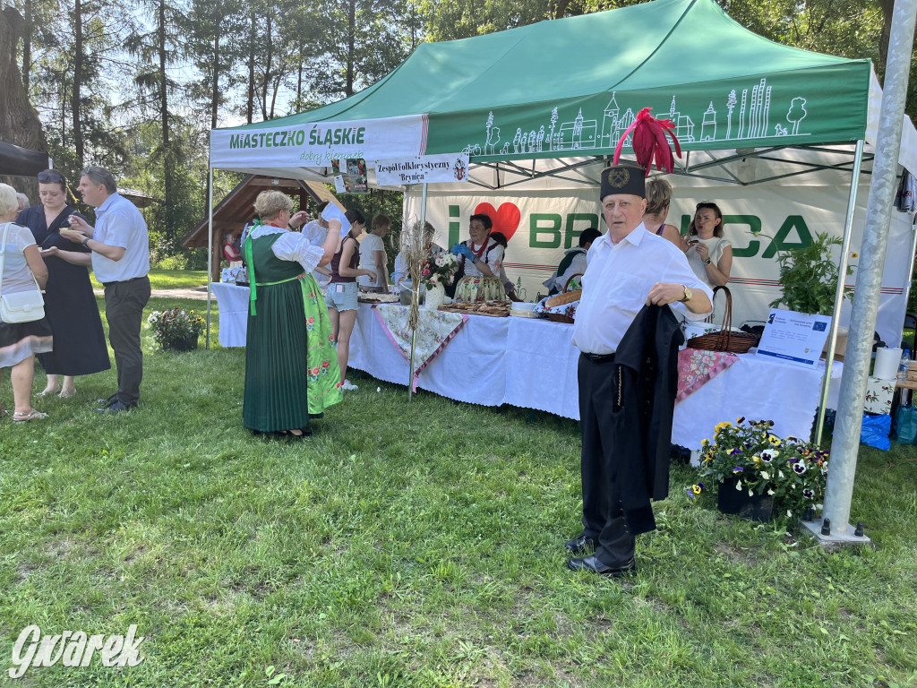 Ta Brynica piykno wieś! Muzyka, śląskie stroje i placki z zilberbronzą