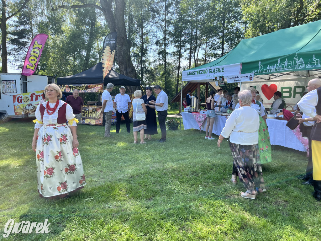 Ta Brynica piykno wieś! Muzyka, śląskie stroje i placki z zilberbronzą