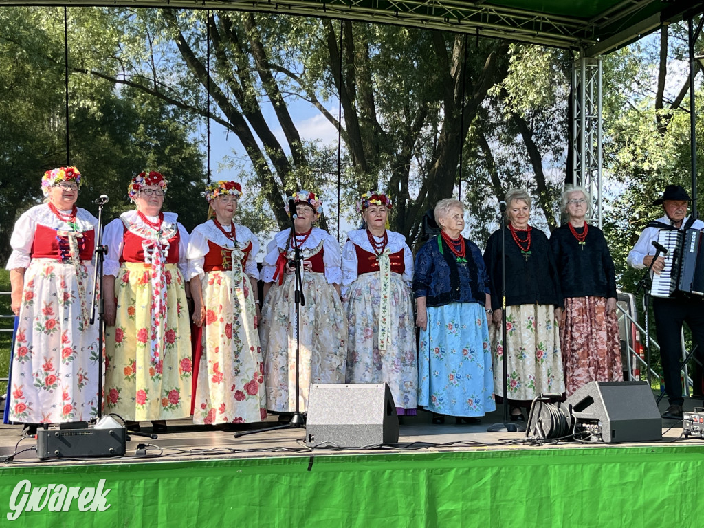 Ta Brynica piykno wieś! Muzyka, śląskie stroje i placki z zilberbronzą
