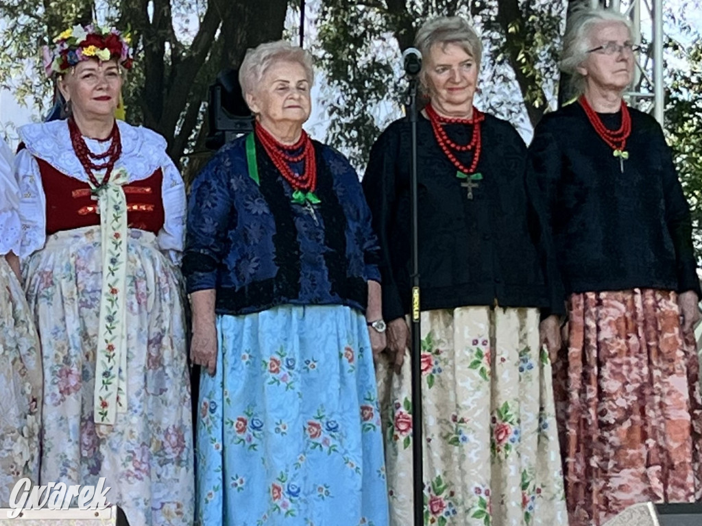 Ta Brynica piykno wieś! Muzyka, śląskie stroje i placki z zilberbronzą