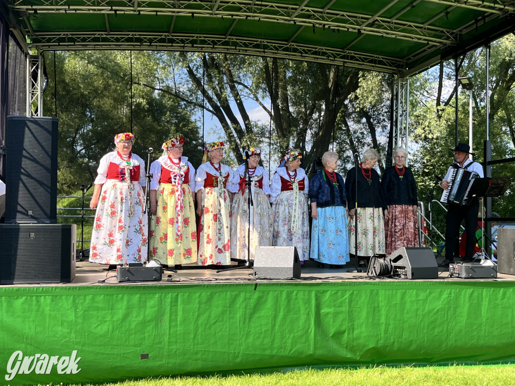 Ta Brynica piykno wieś! Muzyka, śląskie stroje i placki z zilberbronzą