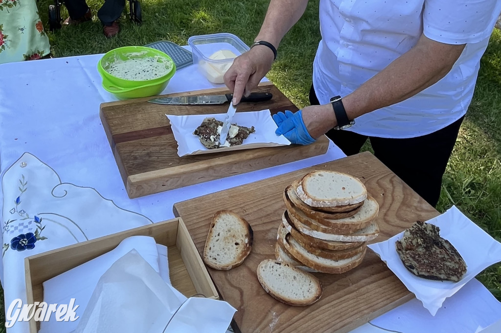 Ta Brynica piykno wieś! Muzyka, śląskie stroje i placki z zilberbronzą