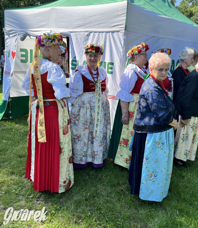 Ta Brynica piykno wieś! Muzyka, śląskie stroje i placki z zilberbronzą