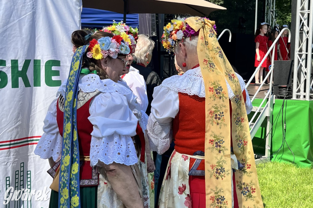 Ta Brynica piykno wieś! Muzyka, śląskie stroje i placki z zilberbronzą