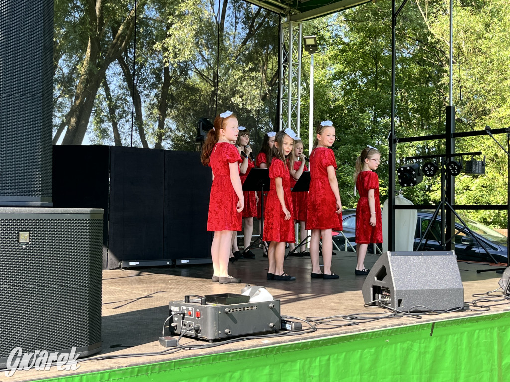 Ta Brynica piykno wieś! Muzyka, śląskie stroje i placki z zilberbronzą
