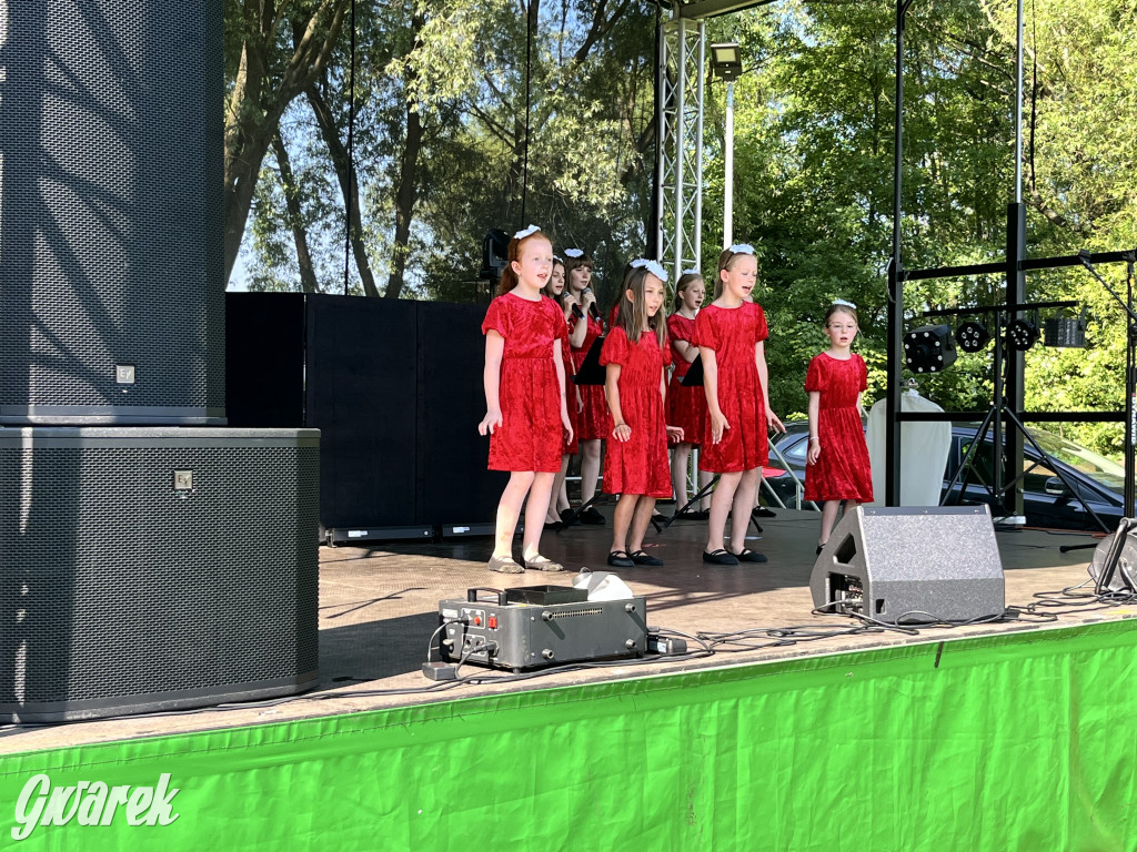 Ta Brynica piykno wieś! Muzyka, śląskie stroje i placki z zilberbronzą