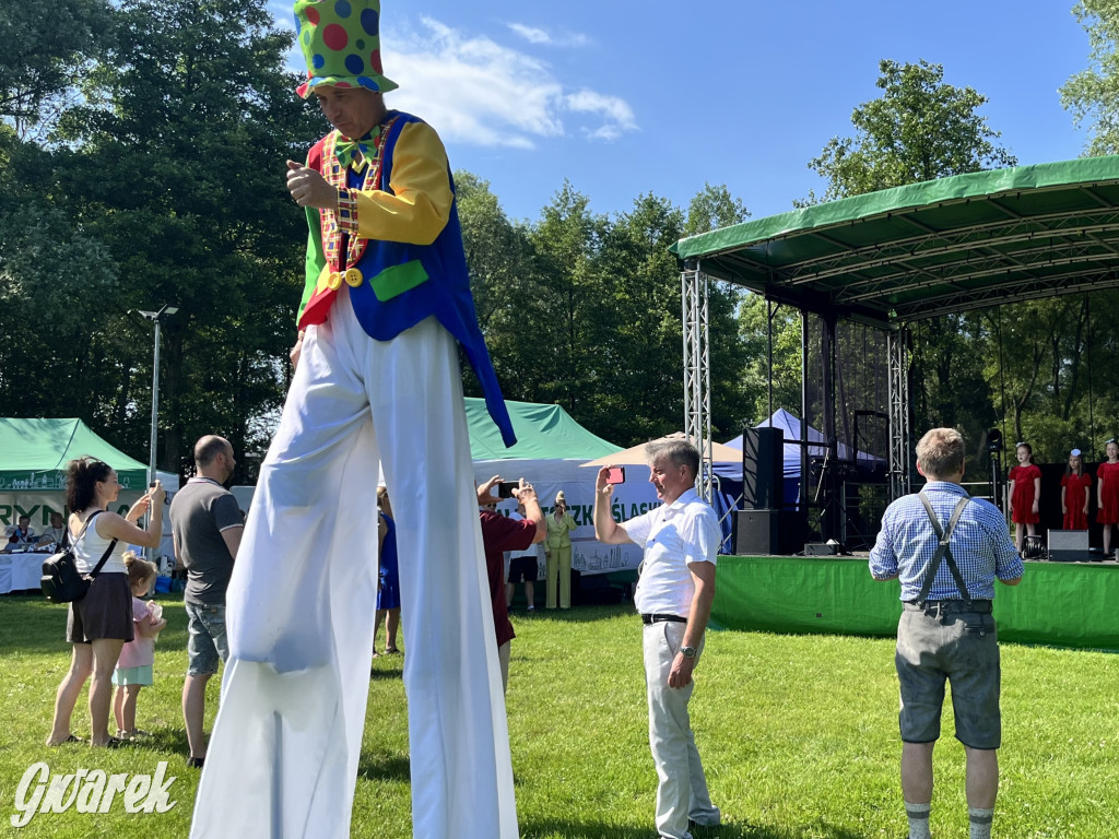 Ta Brynica piykno wieś! Muzyka, śląskie stroje i placki z zilberbronzą