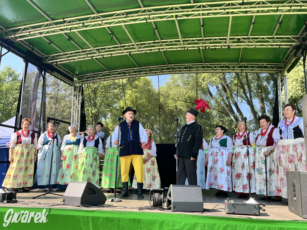 Ta Brynica piykno wieś! Muzyka, śląskie stroje i placki z zilberbronzą