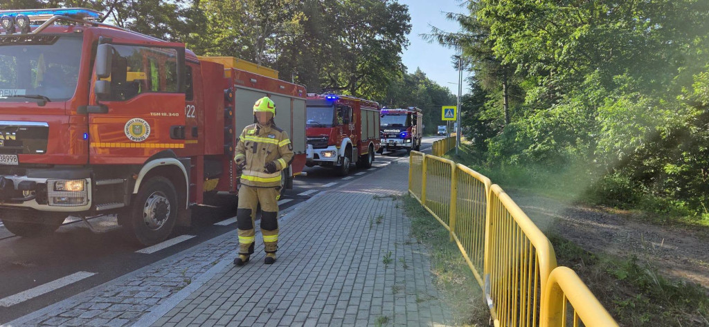 Były utrudnienia na DK 11. Pożar samochodu ciężarowego
