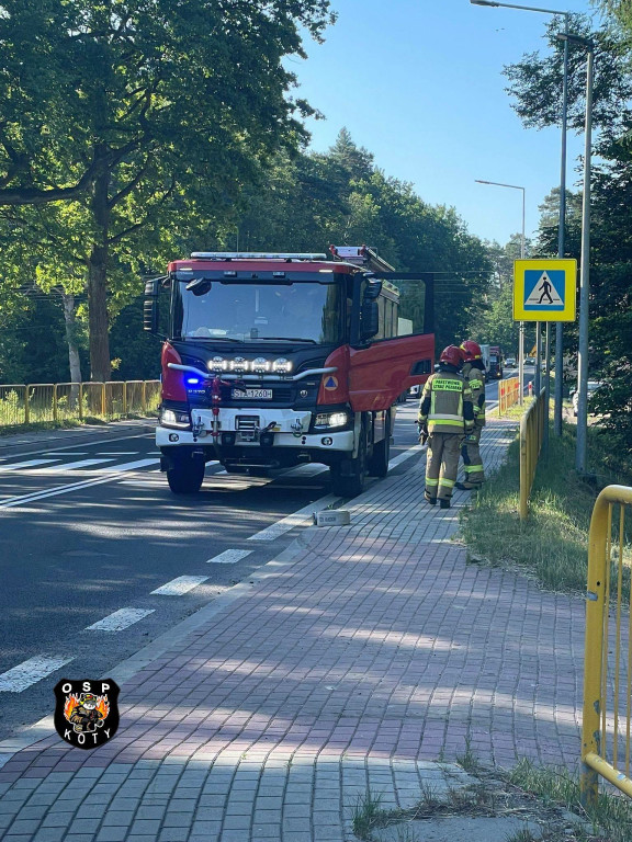 Były utrudnienia na DK 11. Pożar samochodu ciężarowego