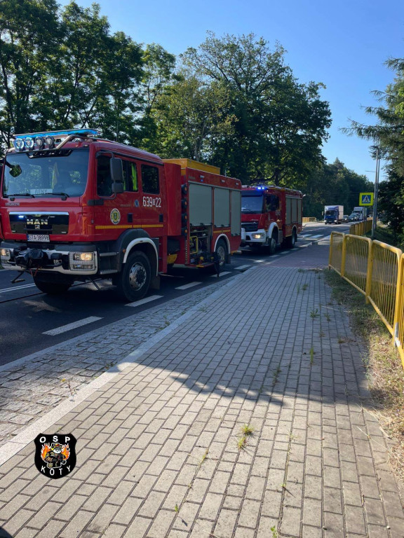 Były utrudnienia na DK 11. Pożar samochodu ciężarowego