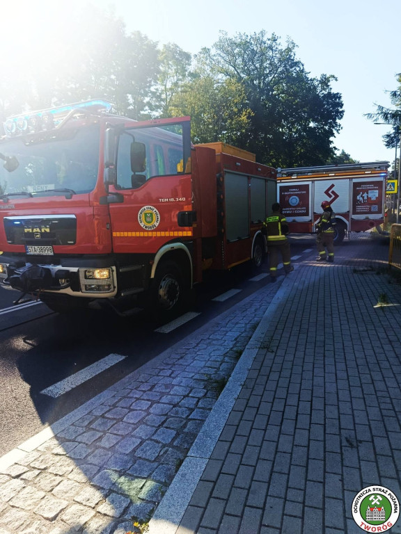 Były utrudnienia na DK 11. Pożar samochodu ciężarowego