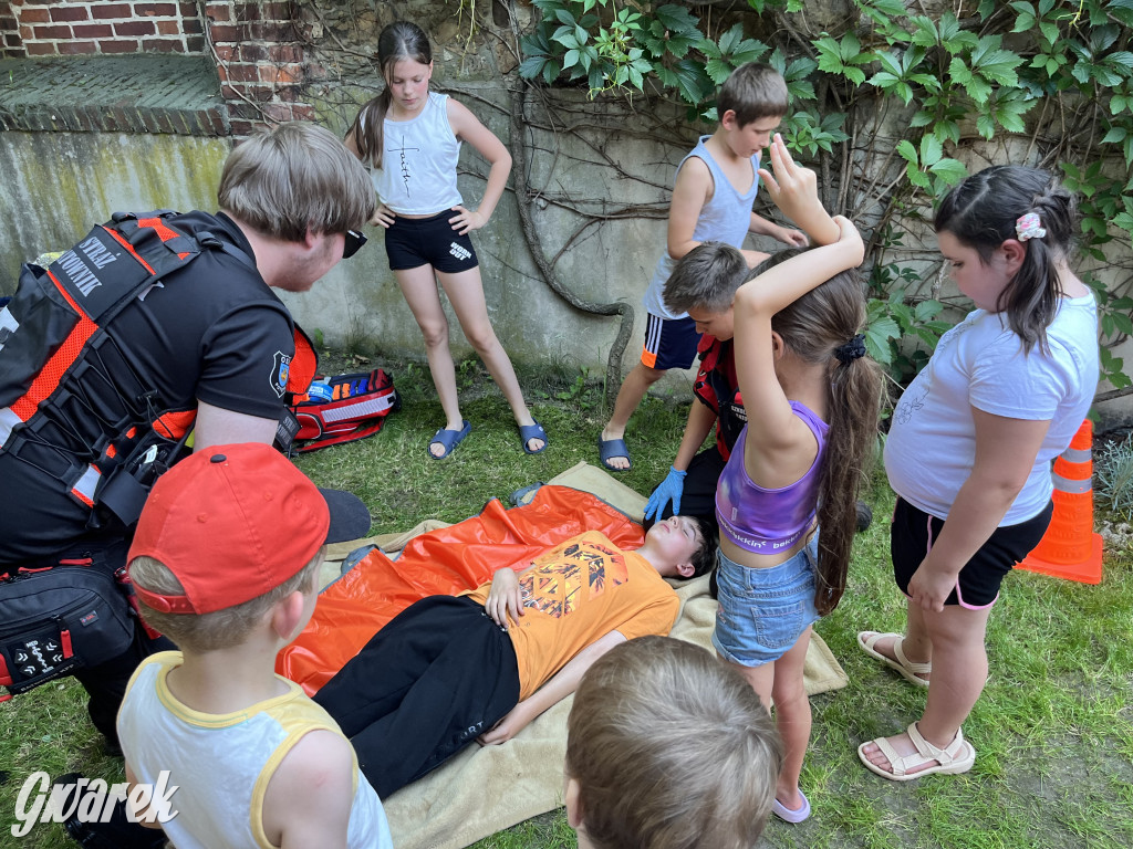Piknik rozpoczął lato dla dzieci w TOTU