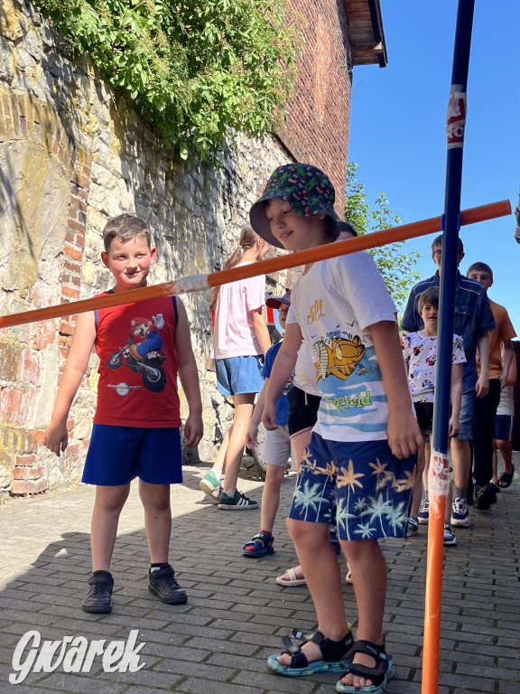 Piknik rozpoczął lato dla dzieci w TOTU