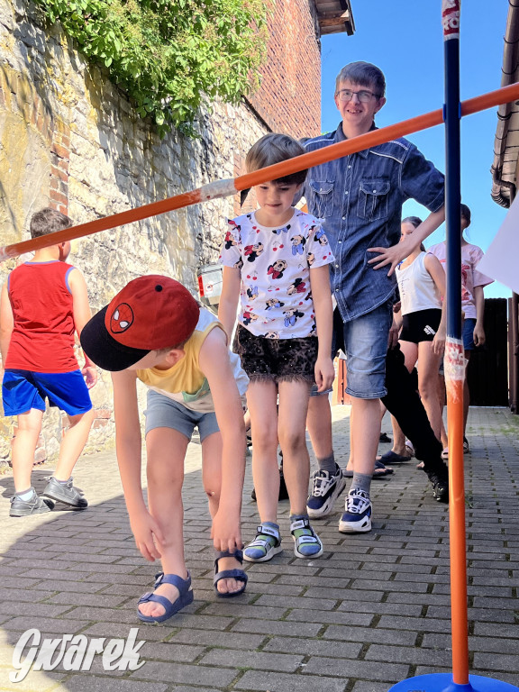 Piknik rozpoczął lato dla dzieci w TOTU