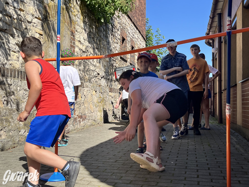 Piknik rozpoczął lato dla dzieci w TOTU